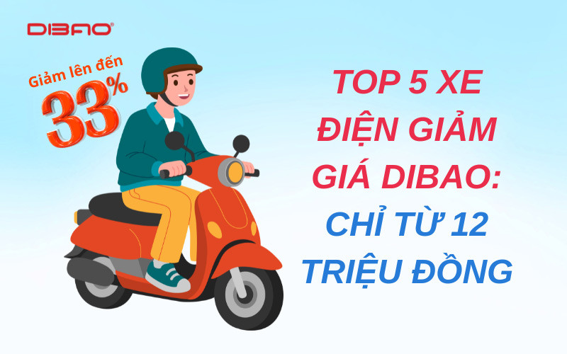 Top 5 xe điện giảm giá Dibao: Chỉ từ 12 triệu đồng